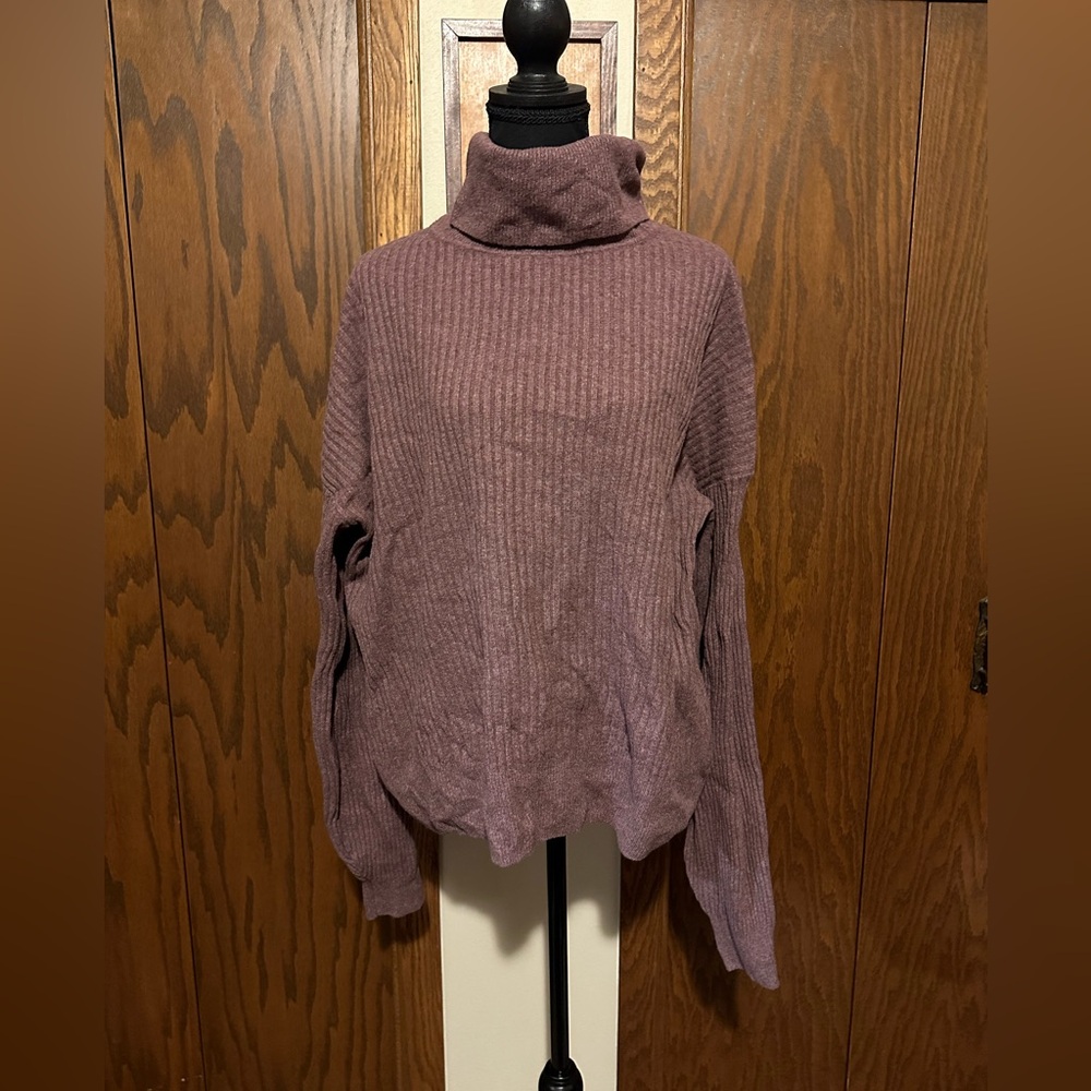 Gap Turtleneck Sweater